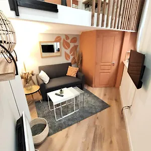 Apartment Le Lanternier - Hypercentre Les Quais - Netflix, Toulouse